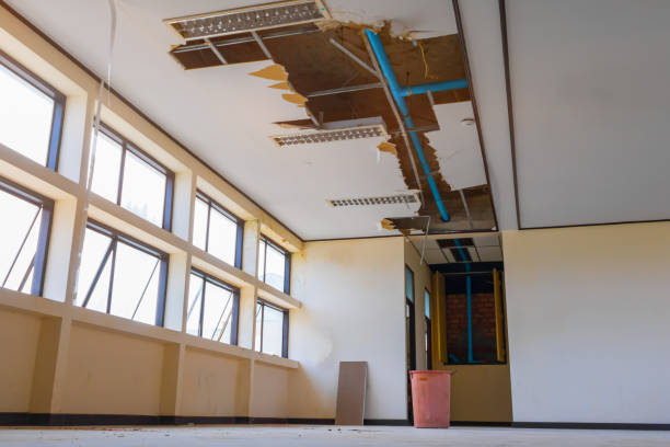 Best Professional water damage repair  in Beaver Dam Lake, NY