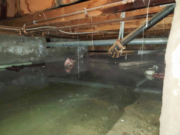 Best Emergency water damage restoration  in Beaver Dam Lake, NY