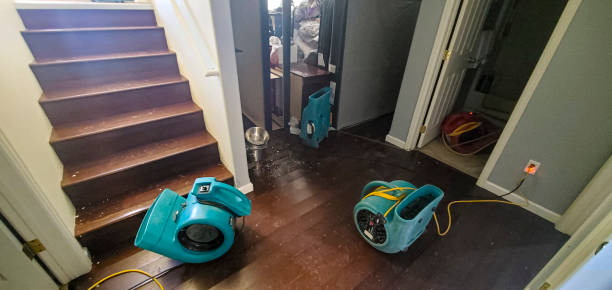 Best Mold removal after water damage  in Beaver Dam Lake, NY