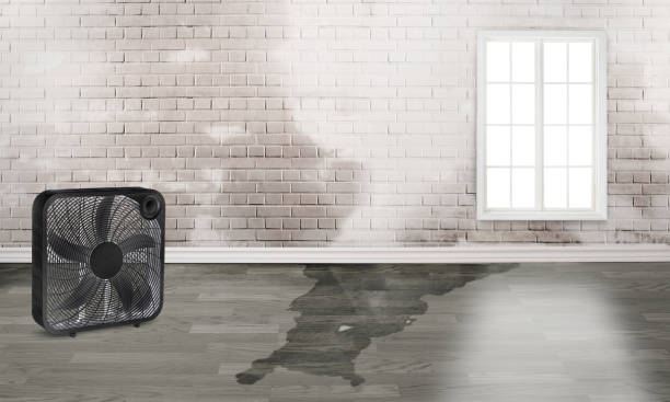 Water damage restoration process in Beaver Dam Lake, NY